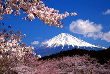 Experiencia en línea: descubra el monte. Fuji